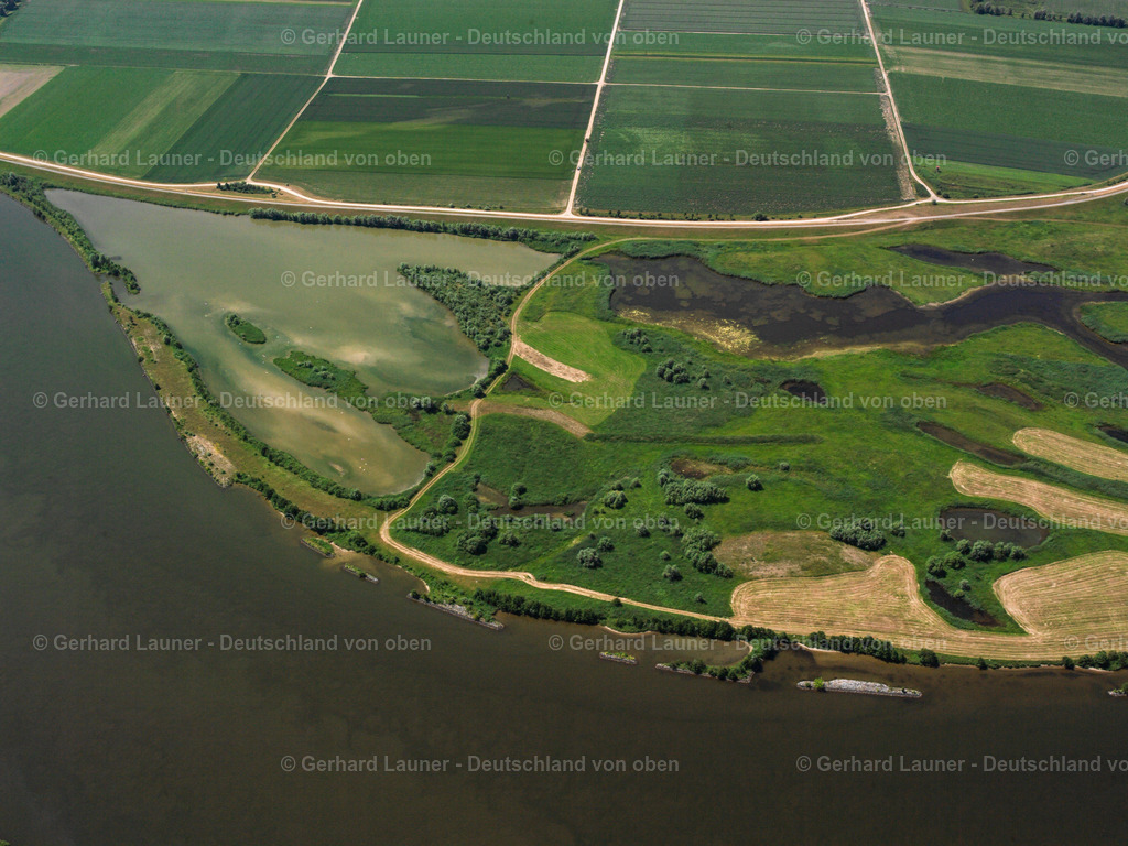 2519900 | Donau bei Aholfing