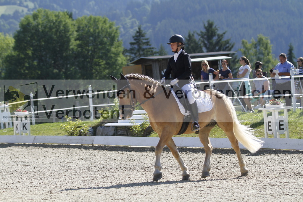 _MG_6184 | equestrian-live-com