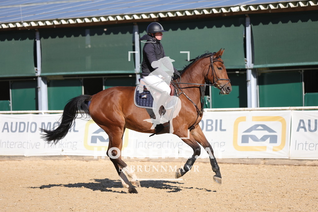 0P6A9398 | Willkommen bei Brunnmayr - Design & Fotografie – Ihrem Spezialisten für Reitturniere und Pferdeveranstaltungen in Oberösterreich, Salzburg und Bayern! Seit über 17 Jahren sind wir leidenschaftlich dabei.