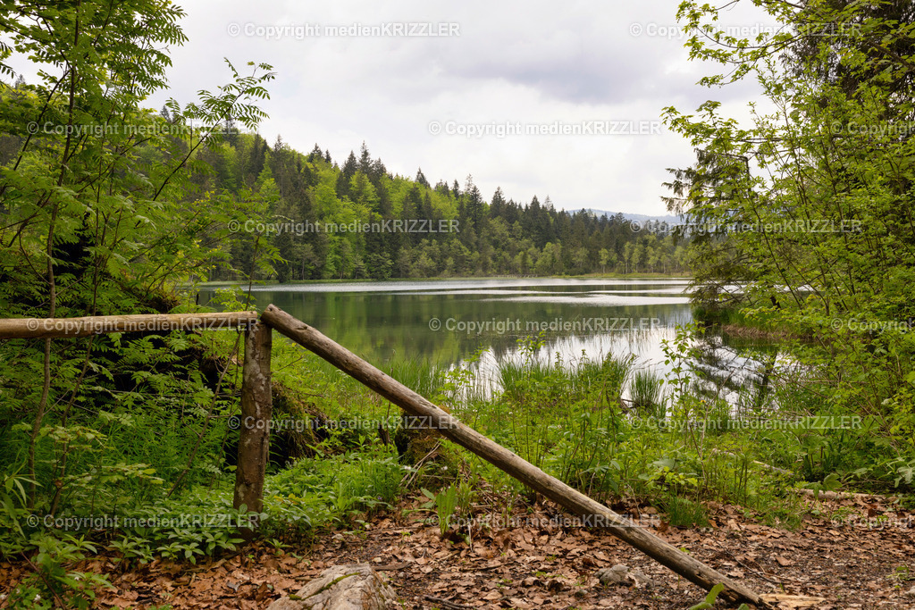 Frillensee | medienkrizzler - Realisiert mit Pictrs.com