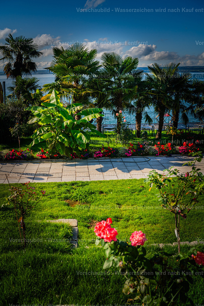 DSC00255 | marcuslinek