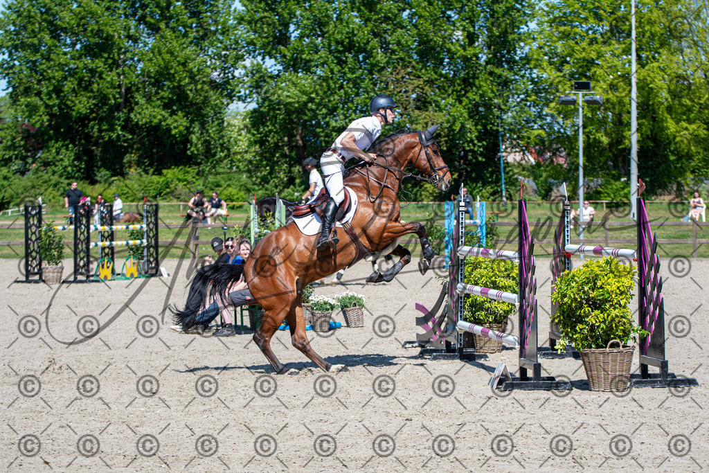 KPT_1207 | andre_photographic