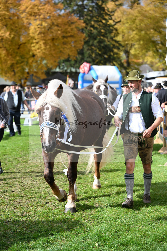 Impressionen_41251375 | hf-fotografie - Realisiert mit Pictrs.com