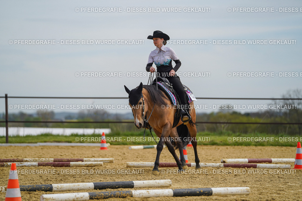 DSC03748 | Pferdegrafie