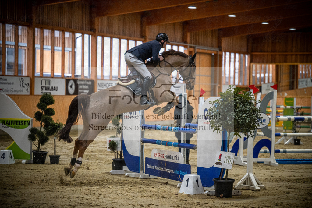 DOS_2003 | Entdecke hochwertige Reitturnierfotos von Foto Oger. Professionell, emotional und authentisch – jetzt Lieblingsmomente im Shop bestellen.Deutschlandweite Turnierfotografie. - Realisiert mit Pictrs.com