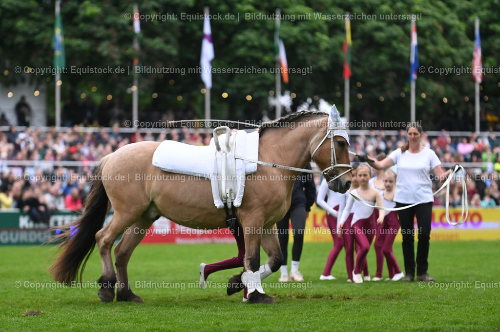 20240517_Lange-Pferdenacht_0307 | Foto: Thomas Hartig