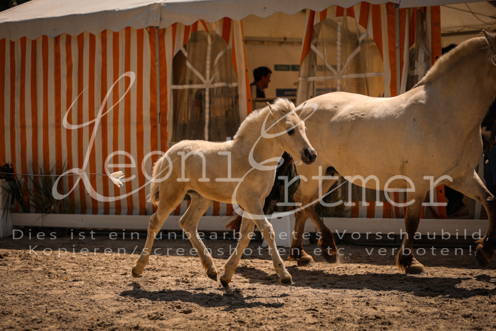 05.DoF00066 | Leoni Ertmer Photography - Realisiert mit Pictrs.com