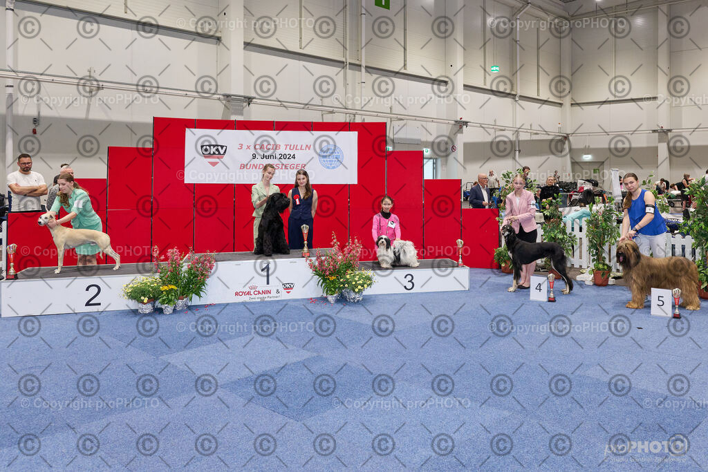 202406_ÖKV-IHA-Tulln24_NZ9_9419 | proPHOTO - Realisiert mit Pictrs.com