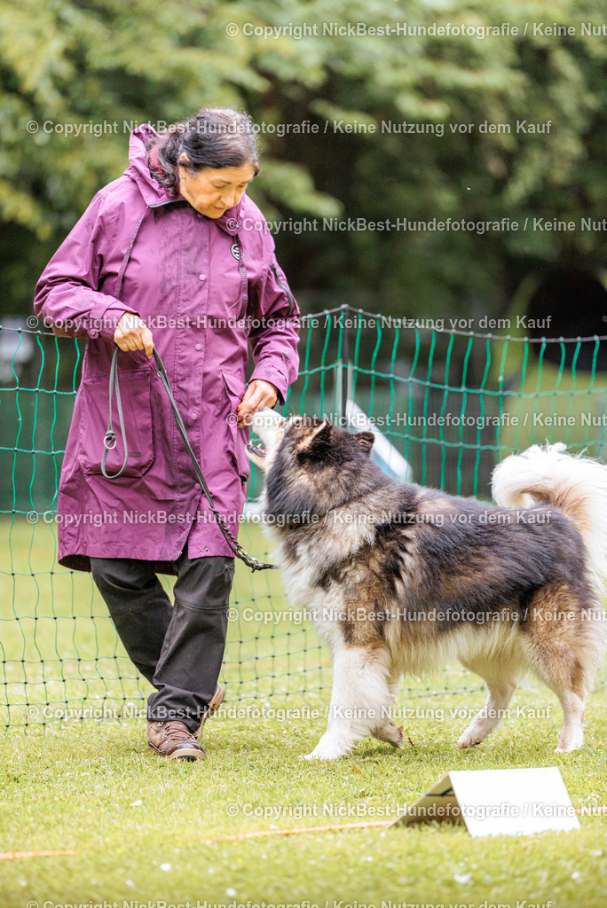 RO-Blumenthal-2026-Nickbest-Hundefotografie-0773 | Dein Hund! Dein Moment! Deine Erinnerungen! Hundefotografie in Bremen Blumenthal. Ich fange die besonderen Momente deines Vierbeiners ein – ob Indoor mit Blitzanlage oder in der freien Natur. Sicher dir dein Moment und dein Termin für eure Erinnerungen.