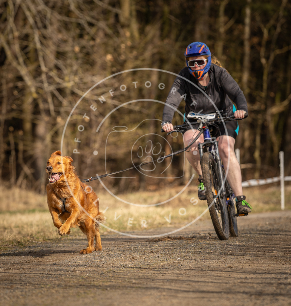 DV3A4480 | Hundefotografie, Tierfotograf, Pfotenfotografie, Fotoshooting Hund, Hunde Portrait, Hundesport, Hundeportraits, Heideshooting, Hunde, Sportfotograf, Hundefotograf, Turnierhundsport, THS,  - Realisiert mit Pictrs.com