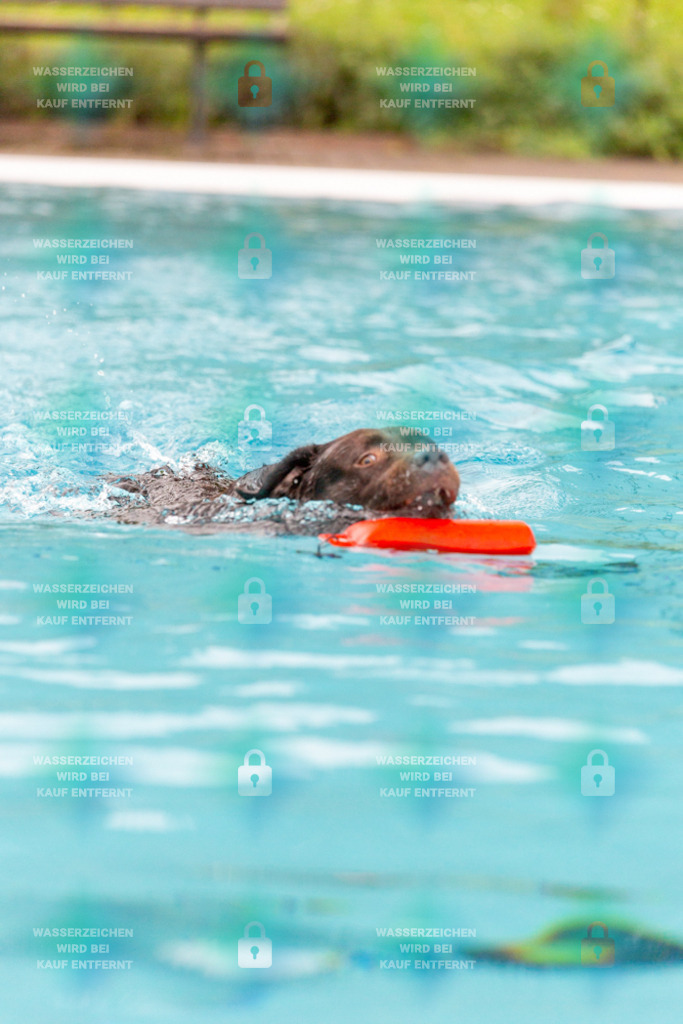 _HP_7263_1000o | HetPix, HetPix Fotodesign, Fotografie, Fotodesign, Webshop, Sportfotografie, Portraitfotografie, Onlineshop, Sportfotografie, Polch, Motorsportfotografie, Eventfotografie