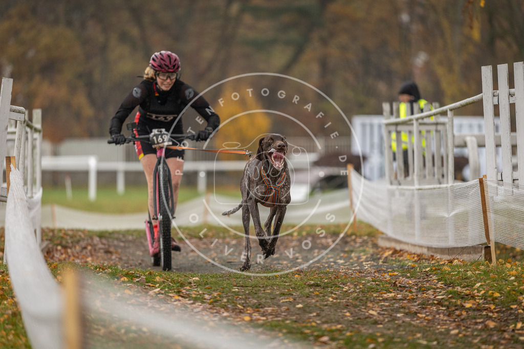 CaniXpix_DV3A8320 | Hundefotografie, Tierfotograf, Pfotenfotografie, Fotoshooting Hund, Hunde Portrait, Hundesport, Hundeportraits, Heideshooting, Hunde, Sportfotograf, Hundefotograf, Turnierhundsport, THS,  - Realisiert mit Pictrs.com
