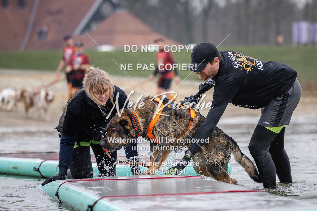 nelerasche_Hulsbeek_Sa1130-1230_456 | nelerasche
