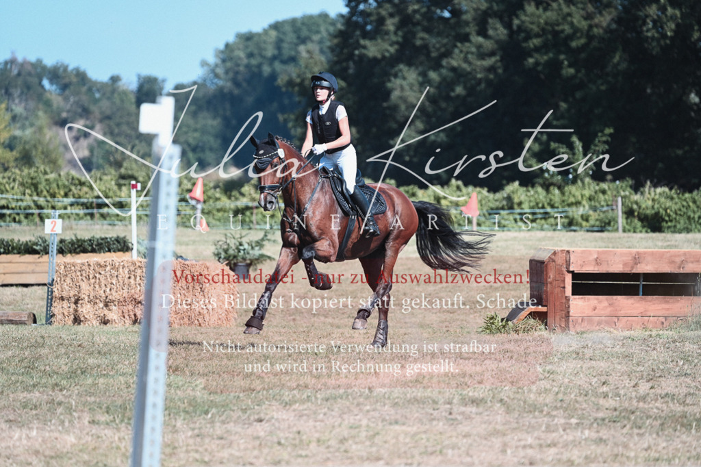 DSC_8606 | Pferde- und Turnierfotografie in Westsachsen. Pferdeportraits, Auftragszeichnungen und intuitive Kunst.