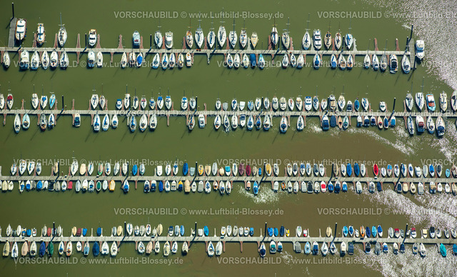 Wedel15068421 | Hamburger Yachthafen-Gemeinschaft e.V., Segelboote, Segelboot, Bootssteg, Elbe,  Wedel, Norddeutschland, Schleswig-Holstein, Deutschland