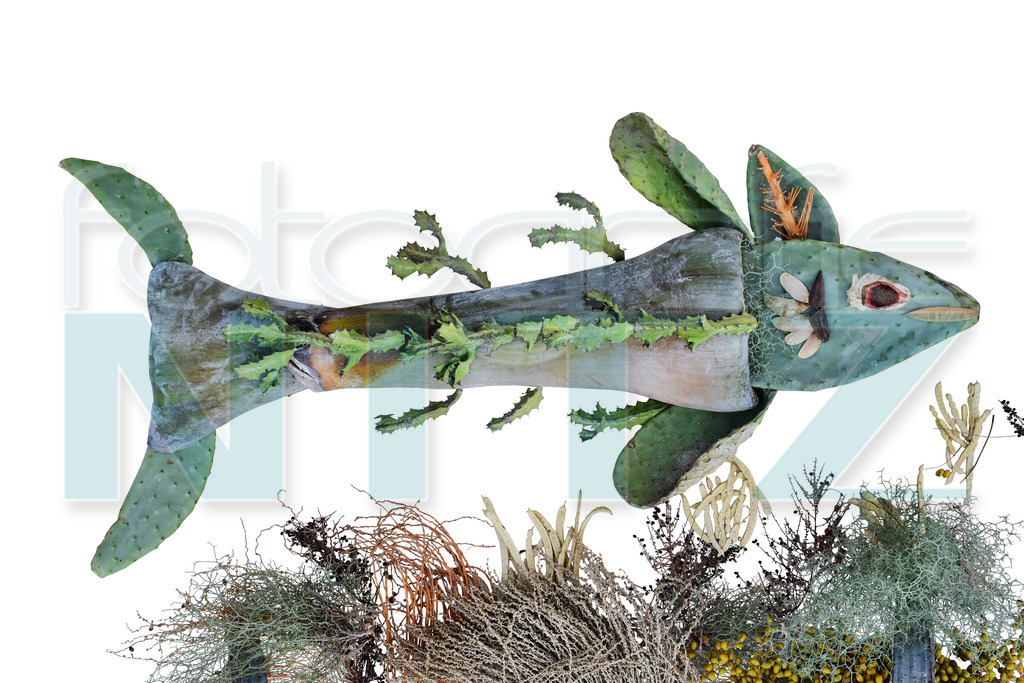 38 | Nitz Fotografie aus Montabaur bietet Ihnen hier die Möglichkeit Bilder auszusuchen und zu bestellen. 