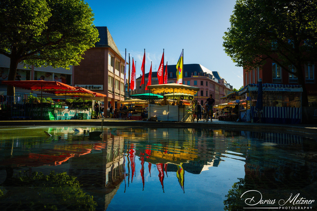 _DSC8763 | Fotografien, Fotos und Bilder aus Mainz, Frankfurt, Wiesbaden und anderen Orten auf der Welt - Fotografiert von Darius Metzner