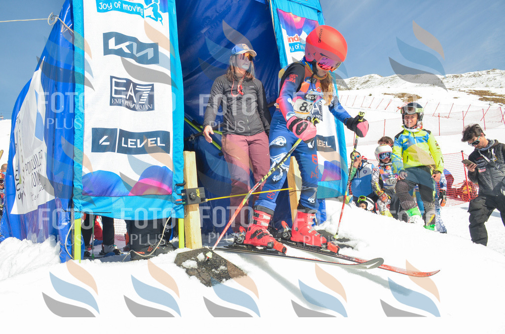 _ELE5587 | holidayphoto