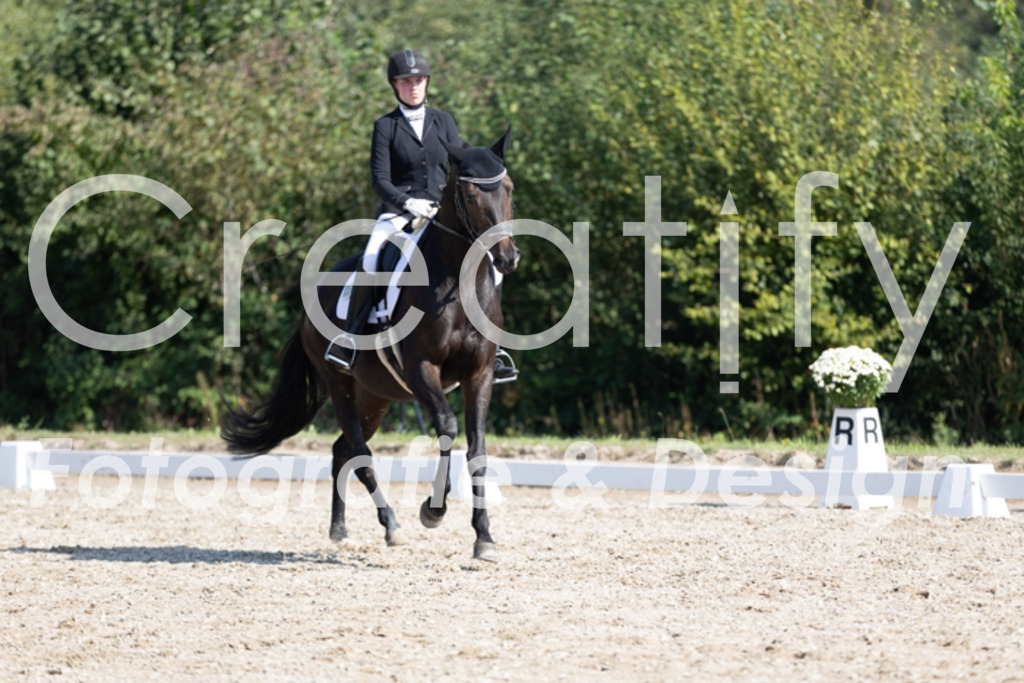 IMG_4020 | Creatify Fotografie