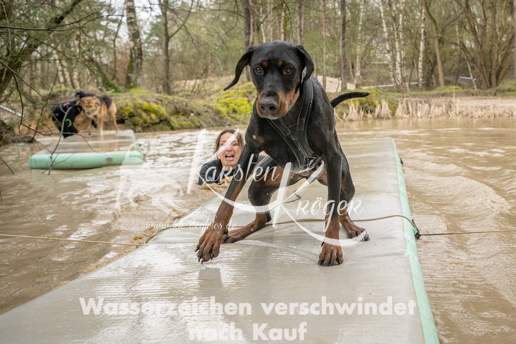 1331_ZZ90832-Bearbeitet | kk-dogfotos