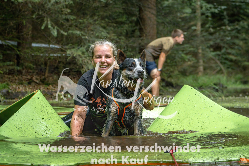 1531_ZZ91164-Bearbeitet | kk-dogfotos