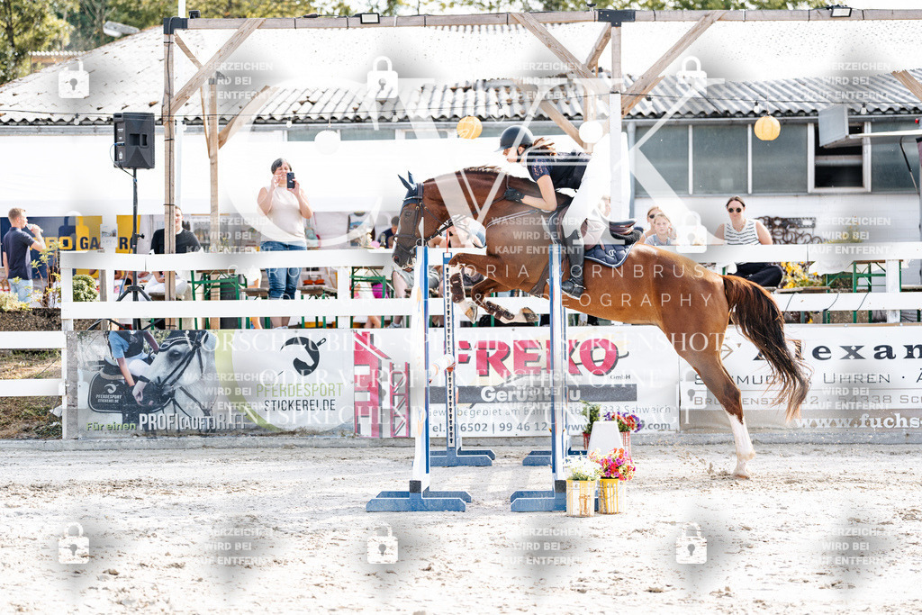 CK905712 | Turnierfotografie Pferdefotografie Trier Rheinland-Pfalz Pferdesport Reitsport Tierfotografie Sportfotografie Pferdevideo Pferdevideografie Equestrianvideography equestrianphotography  - Realisiert mit Pictrs.com
