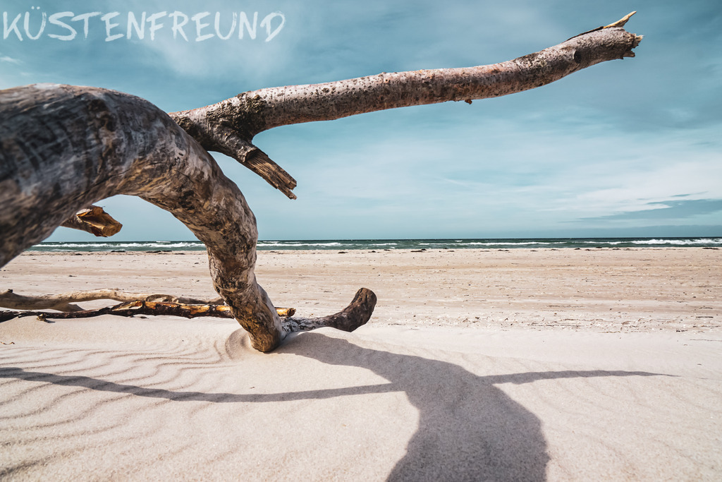 Weststrand Darß | Entdecke deine Lieblingslandschaft von der Küste – auf Ostsee Leinwand, Nordsee Leinwand, Alu Dibond oder Acrylglas, passend für jeden Geschmack und Raum.