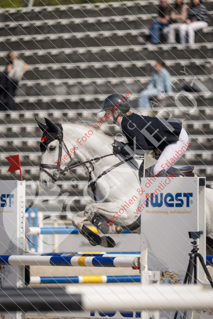 IMG_4443 | Sport-, Event- und Tierfotos in Profiqualität. Einfach auswählen, bestellen und herunterladen. Dein Moment – perfekt festgehalten.