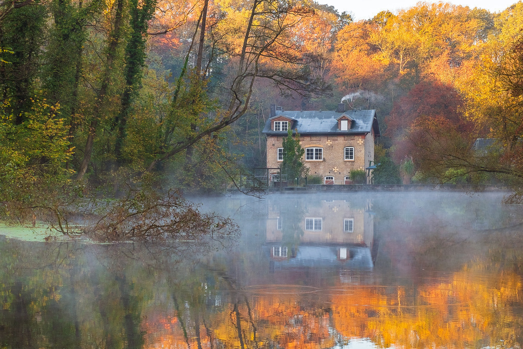 DSCF9963-Bearbeitet | Entdecken Sie hochwertige Fotoprodukte für Ihr Zuhause, Büro oder als besonderes Geschenk.rpixel.de bietet Ihnen exklusive Fotografien aus den Bereichen Natur, Landschaft und Motiven vom Meer.Einfach direkt im Online-Shop bestellen. - Realisiert mit Pictrs.com
