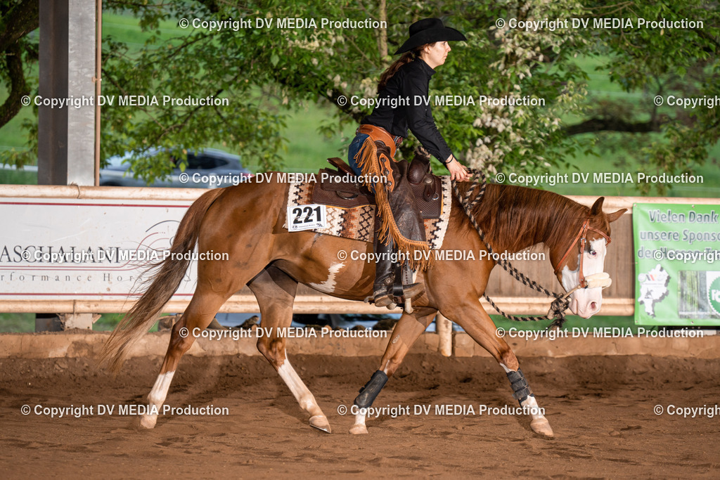 Erbach Tag 4-869 | dv-media-shop - Realisiert mit Pictrs.com