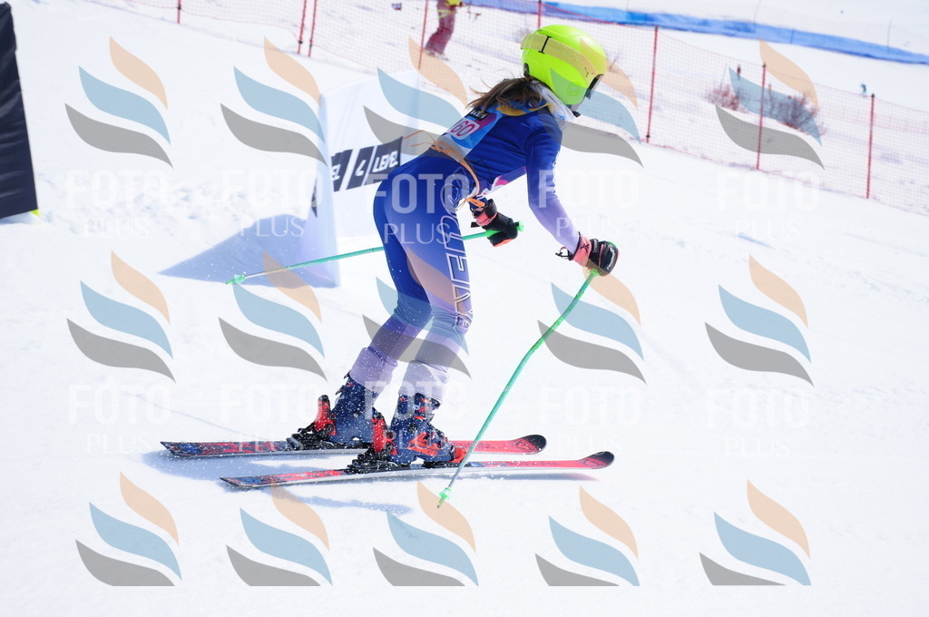 DSC_5378 | holidayphoto