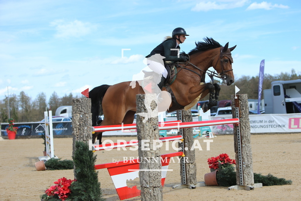 DL2Q6154 | Willkommen bei Brunnmayr - Design & Fotografie – Ihrem Spezialisten für Reitturniere und Pferdeveranstaltungen in Oberösterreich, Salzburg und Bayern! Seit über 17 Jahren sind wir leidenschaftlich dabei.