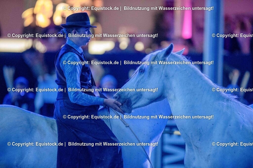 20250606_Lange-Pferdenacht_1067 | Foto: Thomas Hartig