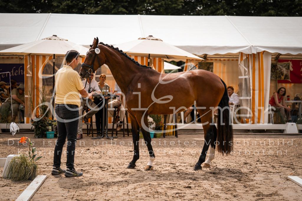 4.Fr00016 | Leoni Ertmer Photography - Realisiert mit Pictrs.com