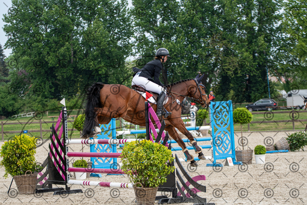 KPT_3540 | andre_photographic