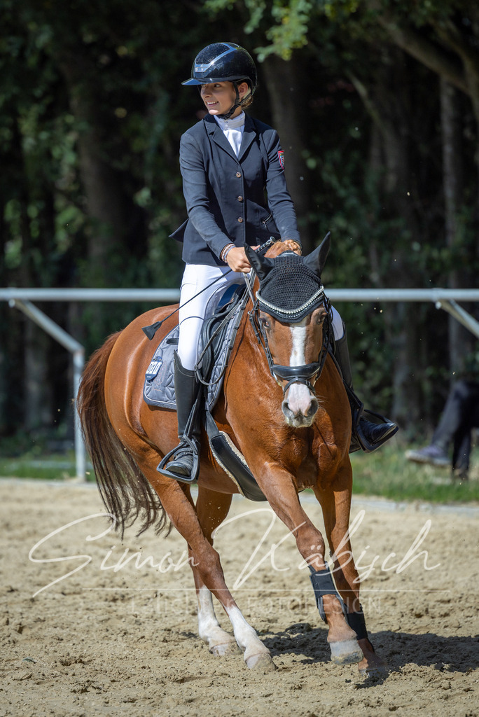 20260905-_3LI9362 | Tierfotografie Pferde, Hunde, Katzen, Haustiere.
Turnierfotografie Reitturniere, Reiten, Springreiten, Dressur in Hanau, dem Main-Kinzig-Kreis und dem Rhein-Main- Gebiet um Frankfurt