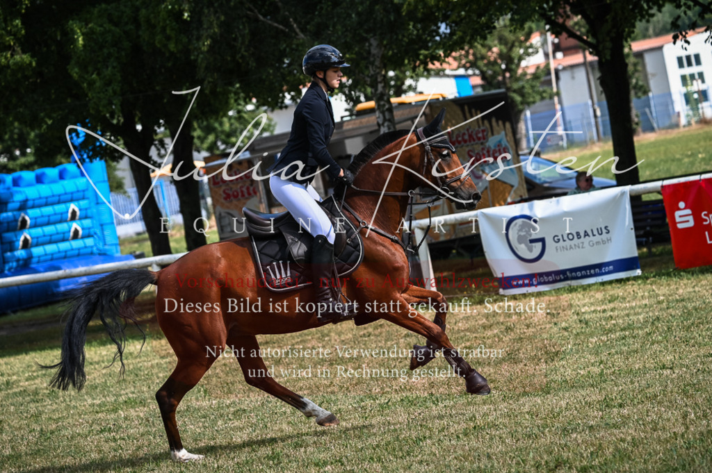 DSC_7899 | Pferde- und Turnierfotografie in Westsachsen. Pferdeportraits, Auftragszeichnungen und intuitive Kunst.