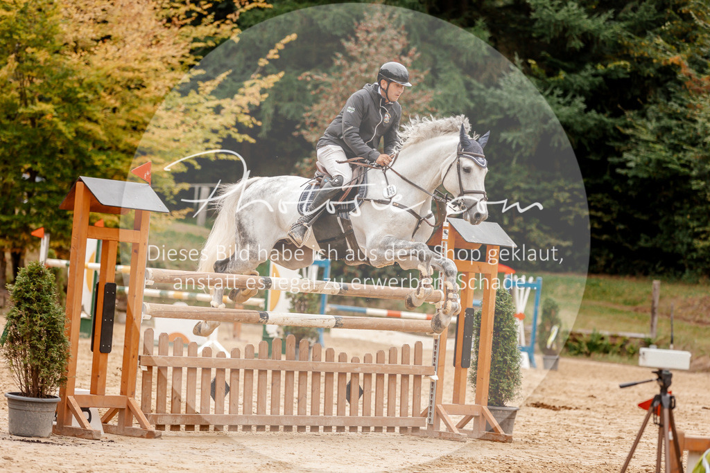3I6A8889 | Stimmungsvolle Portraits und Reitsportfotografie im Ruhrgebiet und im Münsterland.

Pferdefotografie, Hundefotografie, Tierfotografie, Reportagen, Portraits von Tier und Mensch, Turnierfotografie in Bochum, Recklinghausen, Marl, Haltern am See, Dülmen.. - Realisiert mit Pictrs.com