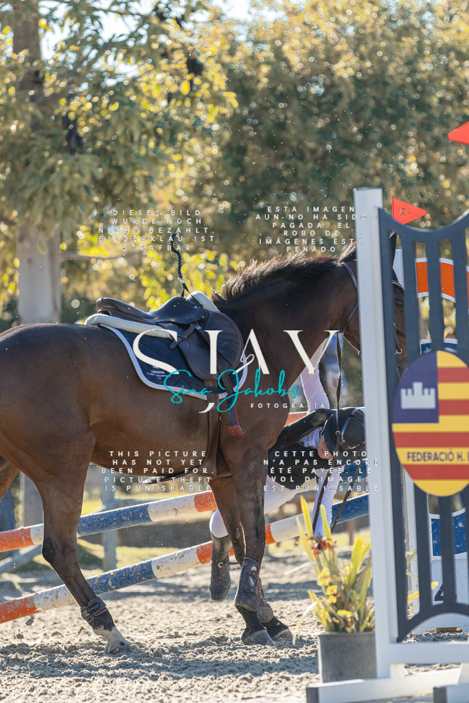 IMG_2126 | s-jay-photography - Realisiert mit Pictrs.com