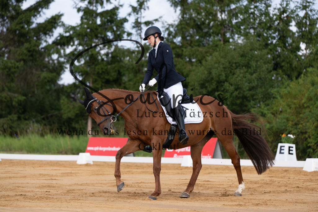 A7V05104 | Pferdefotograf