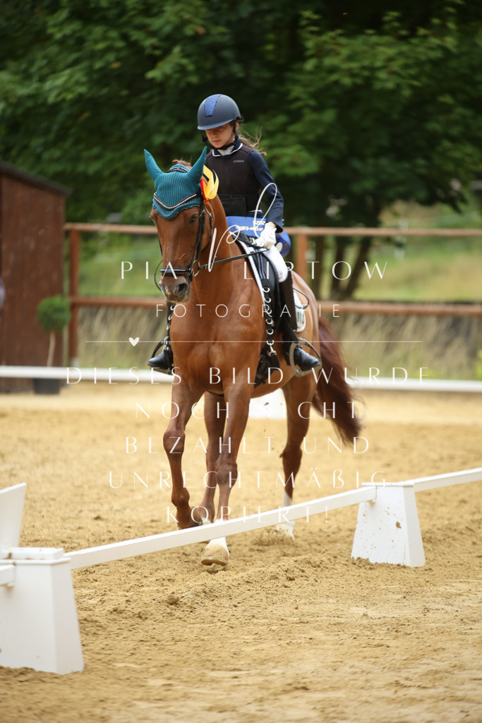 IMGM2655 | pl-fotografie