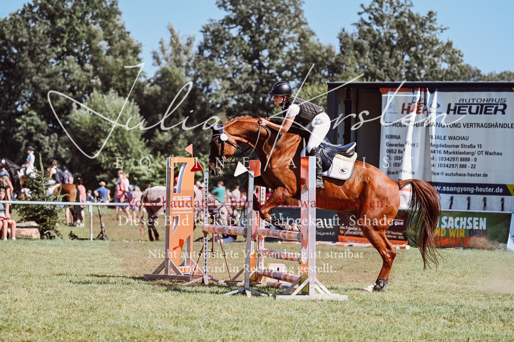 DSC_6708 | Pferde- und Turnierfotografie in Westsachsen. Pferdeportraits, Auftragszeichnungen und intuitive Kunst.