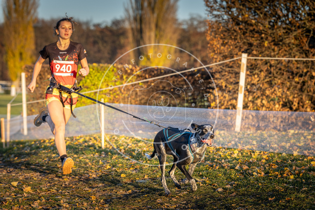 CaniXpix_DV3A5387 | Hundefotografie, Tierfotograf, Pfotenfotografie, Fotoshooting Hund, Hunde Portrait, Hundesport, Hundeportraits, Heideshooting, Hunde, Sportfotograf, Hundefotograf, Turnierhundsport, THS,  - Realisiert mit Pictrs.com