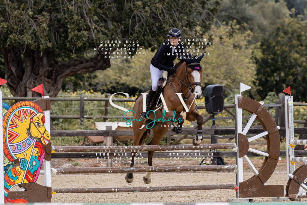 IMG_4873 | s-jay-photography - Realisiert mit Pictrs.com