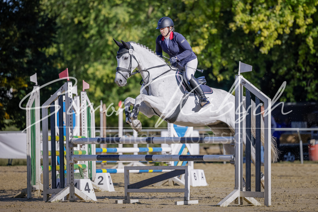 20250906-_3LI3115 | Tierfotografie Pferde, Hunde, Katzen, Haustiere.
Turnierfotografie Reitturniere, Reiten, Springreiten, Dressur in Hanau, dem Main-Kinzig-Kreis und dem Rhein-Main- Gebiet um Frankfurt