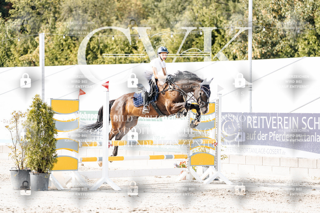 CK905921 | Turnierfotografie Pferdefotografie Trier Rheinland-Pfalz Pferdesport Reitsport Tierfotografie Sportfotografie Pferdevideo Pferdevideografie Equestrianvideography equestrianphotography  - Realisiert mit Pictrs.com