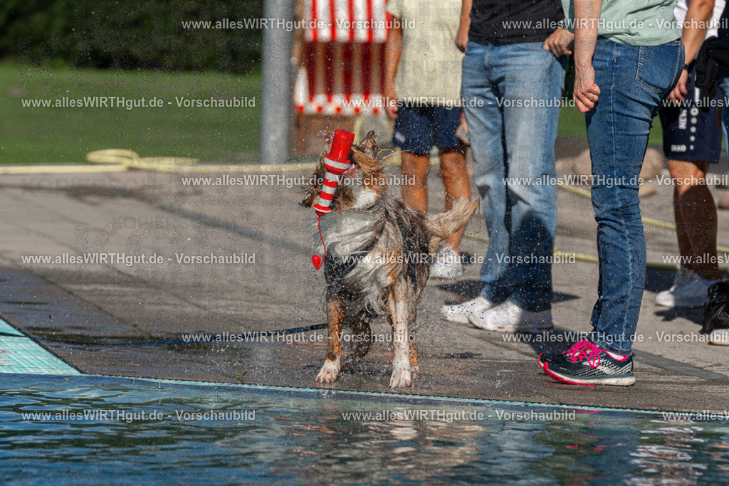 Hundeschwimmen_Volksbad_2026-allesWIRTHgut_Tierfotografie-2609061031-FAY05931 | Professionelle Tierfotografie in Mönchengladbach von Daniel Wirth (allesWIRTHgut). Liebevolle & natürliche Bilder von Hunden & Katzen für unvergessliche Erinnerungen.