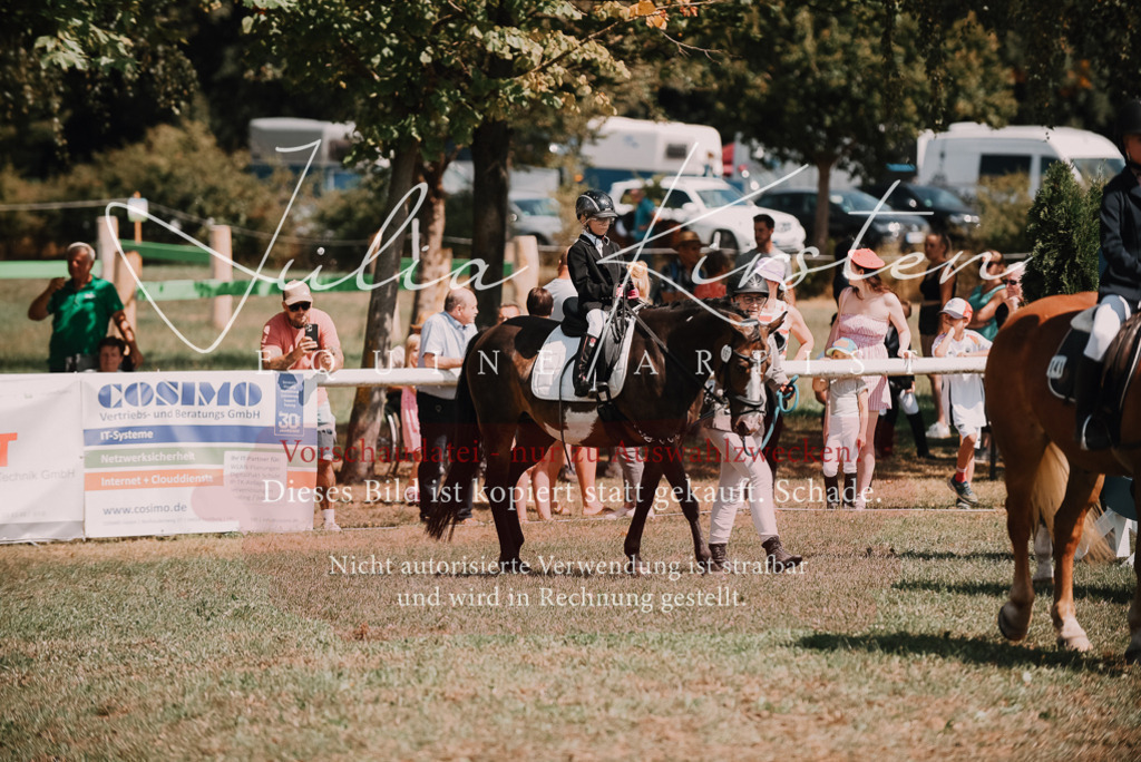 DSC_6028 | Pferde- und Turnierfotografie in Westsachsen. Pferdeportraits, Auftragszeichnungen und intuitive Kunst.