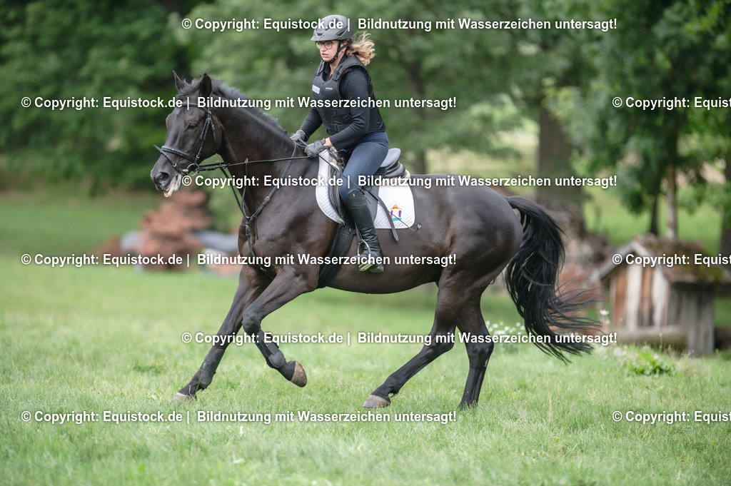 20250726_Vielseitigkeitslehrgang-Marbach_0688 | Foto: Thomas Hartig