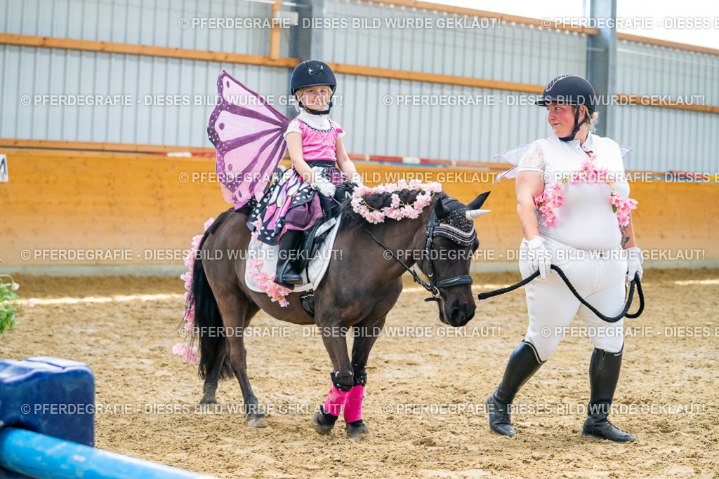 DSC09817 | Pferdegrafie